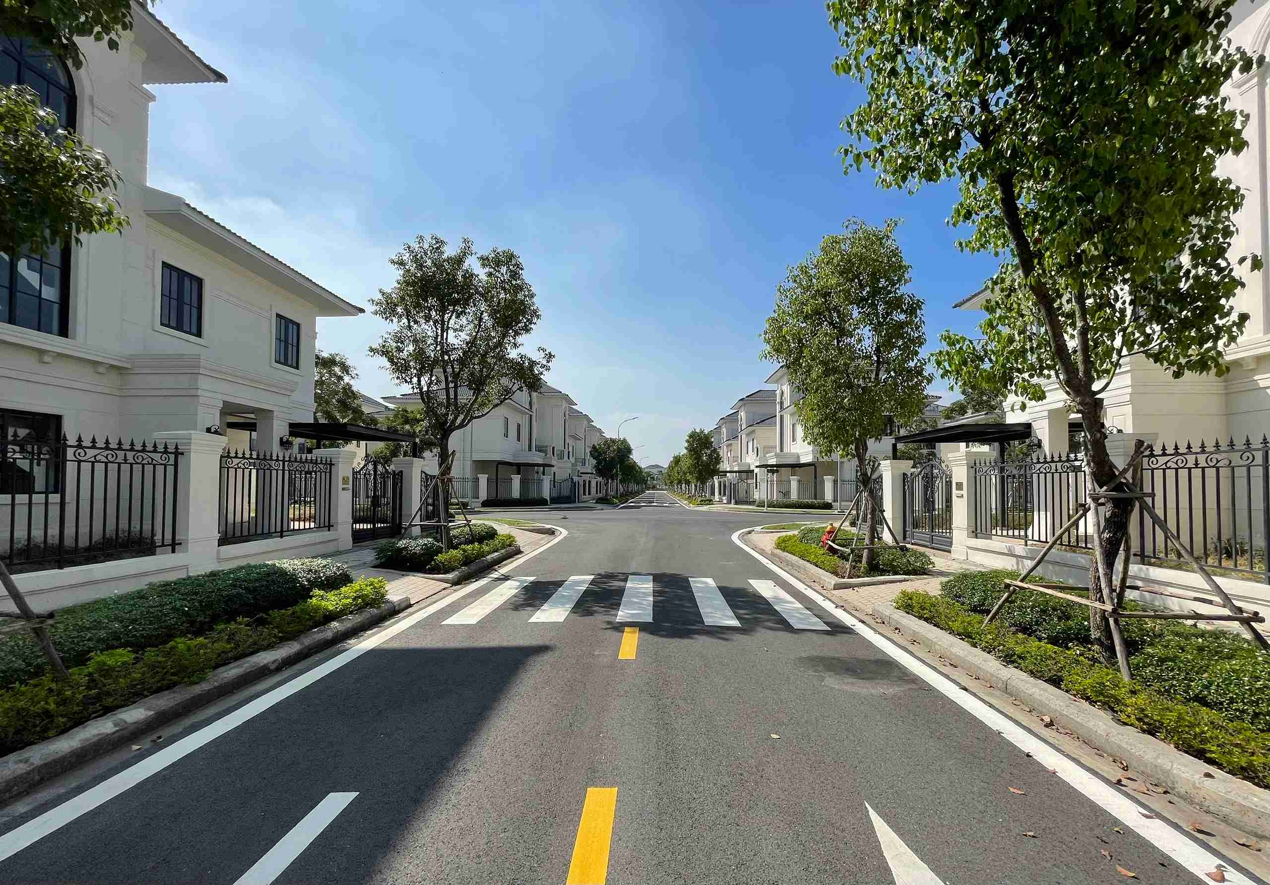 Z5503167985984_86208a2f3efce860d53f94e43de4a684_22_11zon